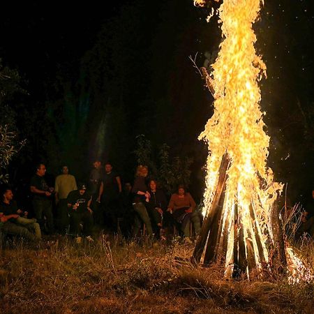 Conacul Bunicilor Hotel Novaci Luaran gambar